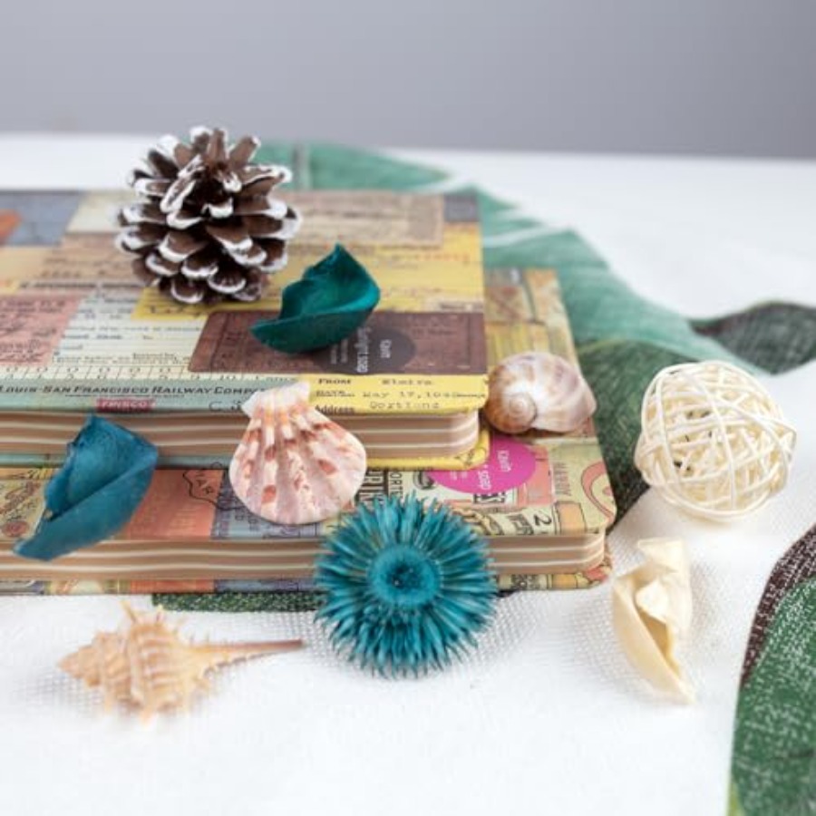 Sea Shell Potpourri Bag, Ocean - огляд і ціна Potpourri Dried Flower