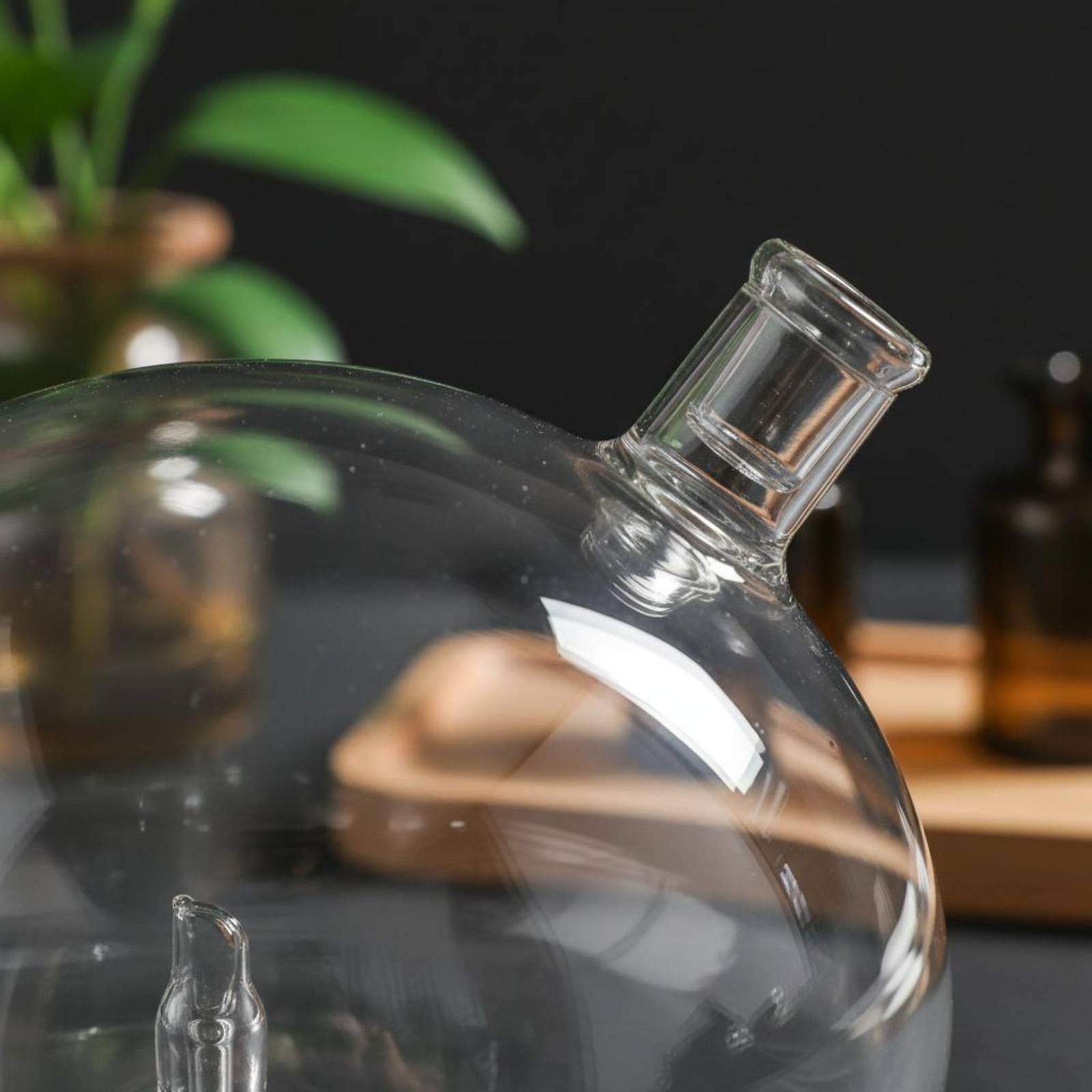 Diffuser Bottle Universal Fit  - огляд і ціна Home Fragrance Diffusers