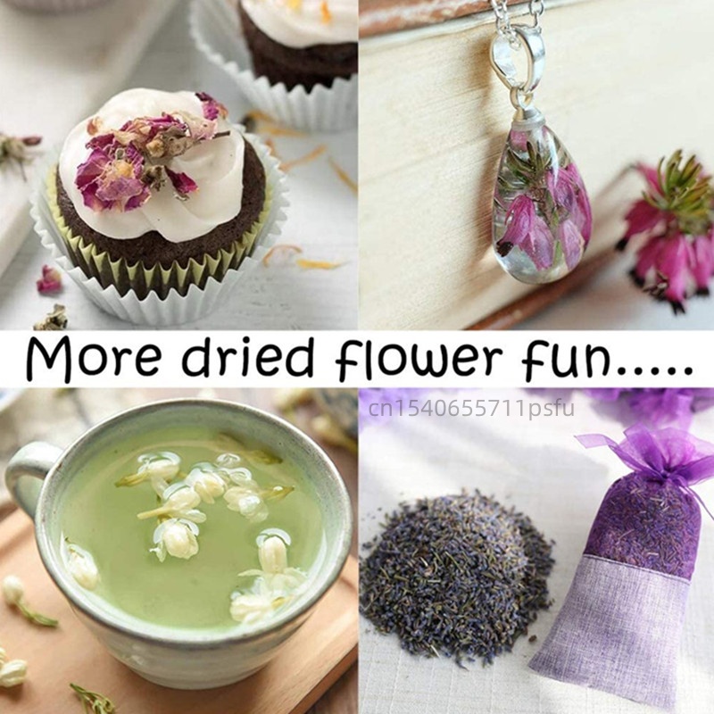 High-quality Natural Jasmine D - огляд і ціна Potpourri Dried Flower